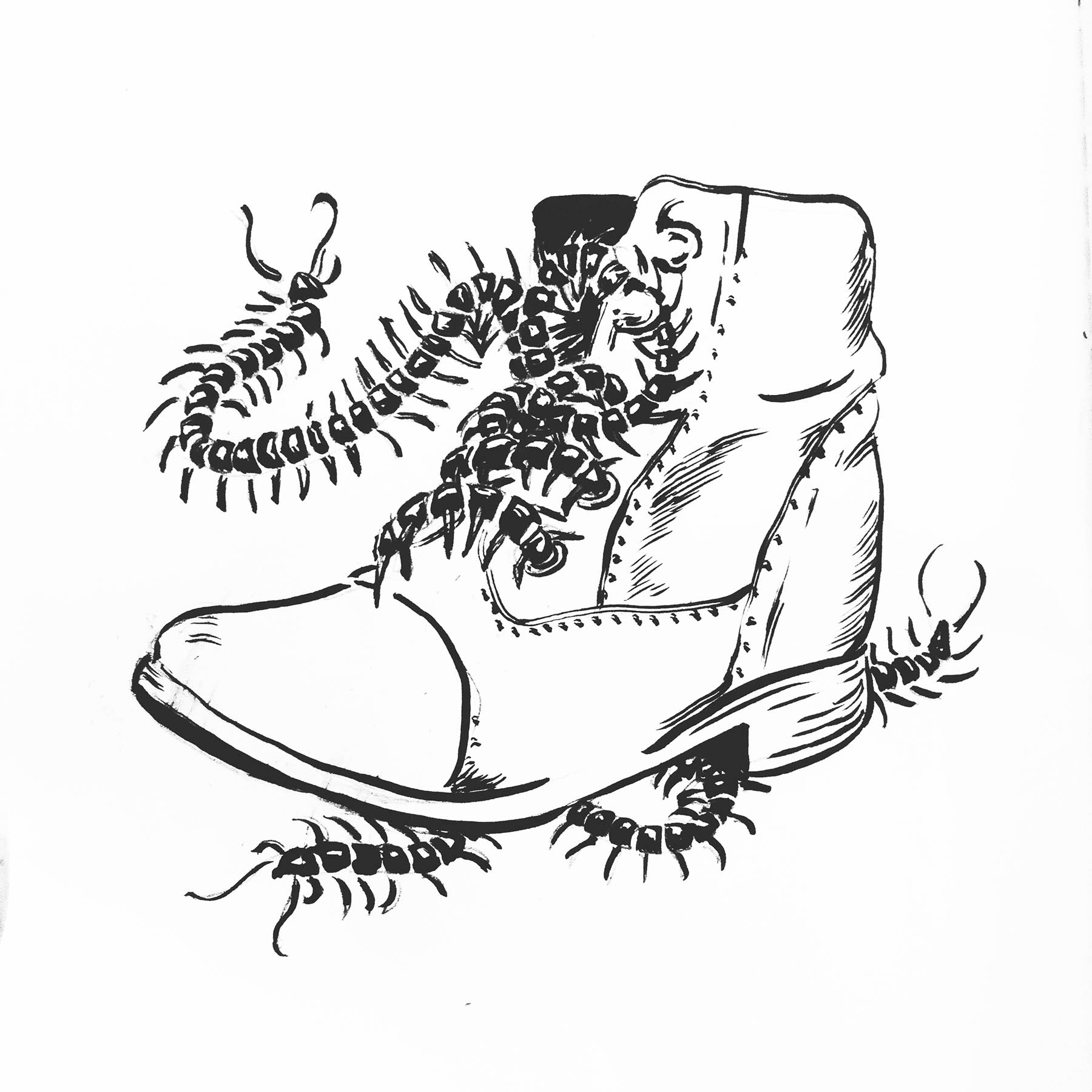 Illustration of a boot with centipede laces.