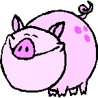 pig